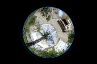 Frankfurt - Palmengarten (5)