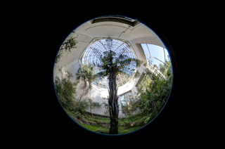 Frankfurt - Palmengarten (6)