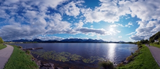 Hopfen am See_21
