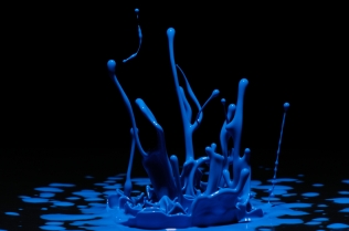 Color in Motion (2)