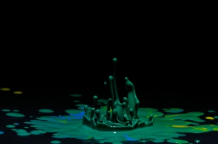 Color in Motion (6)