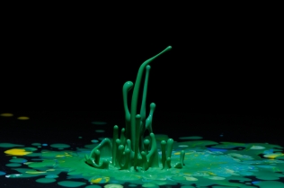 Color in Motion (7)