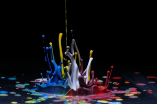 Color in Motion (23)