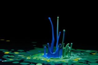 Color in Motion (27)