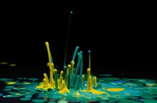 Color in Motion (28)