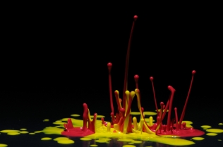 Color in Motion (29)