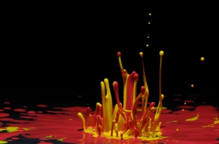 Color in Motion (32)