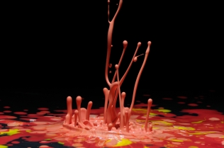 Color in Motion (35)