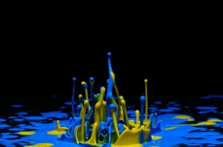 Color in Motion (39)