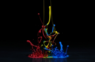 Color in Motion (41)