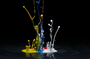Color in Motion (45)