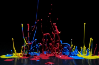 Color in Motion (52)