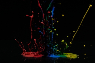 Color in Motion_61