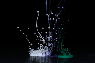 Color in Motion_66