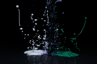 Color in Motion_70