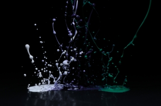 Color in Motion_71