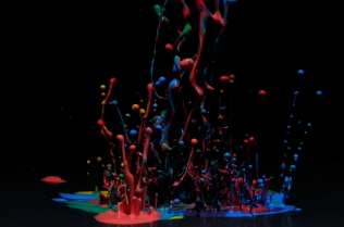 Color in Motion_75