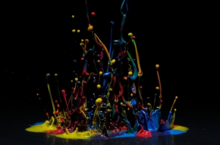 Color in Motion_76