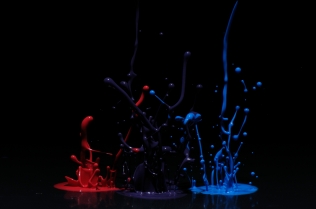 Color in Motion_80