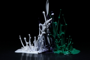 Color in Motion_81
