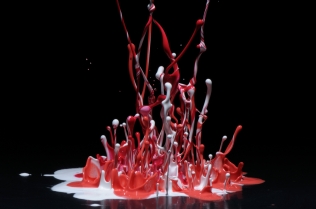 Color in Motion_82