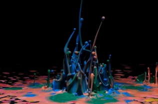 Color in Motion_84