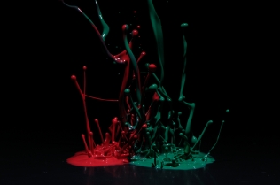 Color in Motion_86
