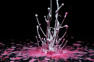 Color in Motion (19)