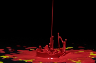 Color in Motion (4)