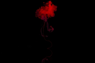Liquid Flow - Red_5