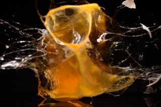 Eier / Eggs