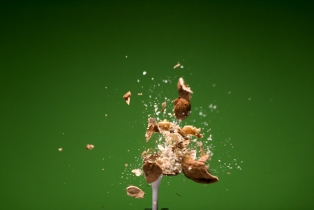 Walnusse / Walnuts