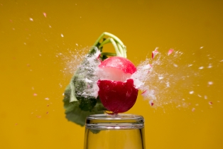 Radieschen / Radish