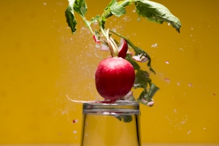 Radieschen / Radish_3