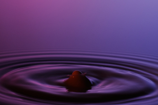 Tropfen in Wasser (131)