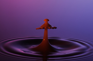 Tropfen in Wasser (137)
