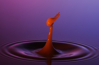 Tropfen in Wasser (160)