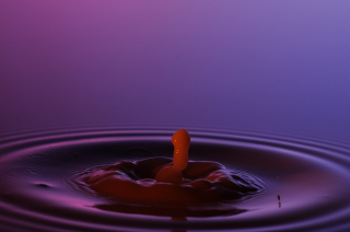 Tropfen in Wasser (171)