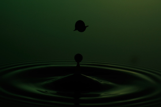 Tropfen in Wasser (253)