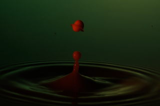 Tropfen in Wasser (261)