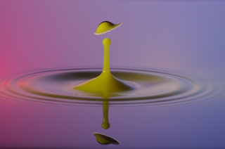 Tropfen in Wasser (305)