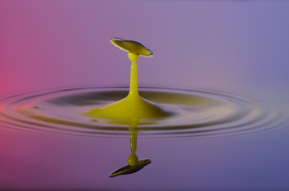 Tropfen in Wasser (308)
