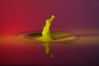 Tropfen in Wasser (335)