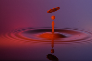 Tropfen in Wasser (339)