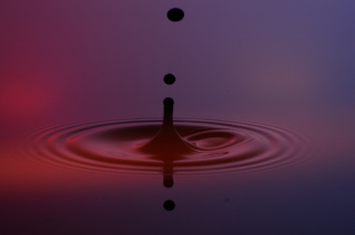 Tropfen in Wasser (347)