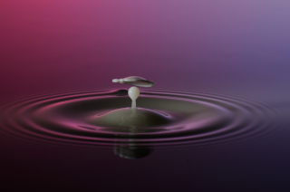 Tropfen in Wasser (394)