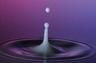 Tropfen in Wasser (81)