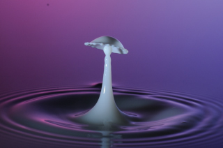 Tropfen in Wasser (91)