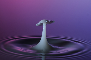 Tropfen in Wasser (96)