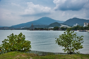 Rice Field_1